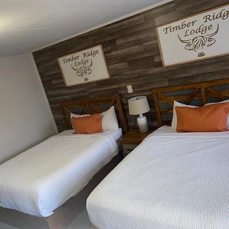 Timber Ridge Lodge ガトリンバーグ エクステリア 写真