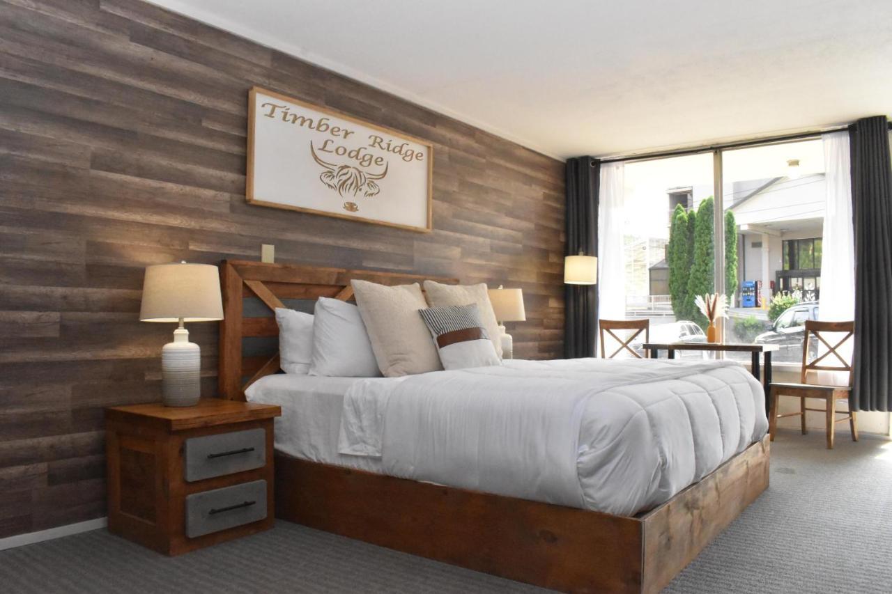 Timber Ridge Lodge ガトリンバーグ エクステリア 写真