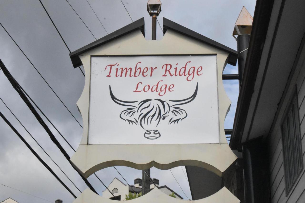 Timber Ridge Lodge ガトリンバーグ エクステリア 写真