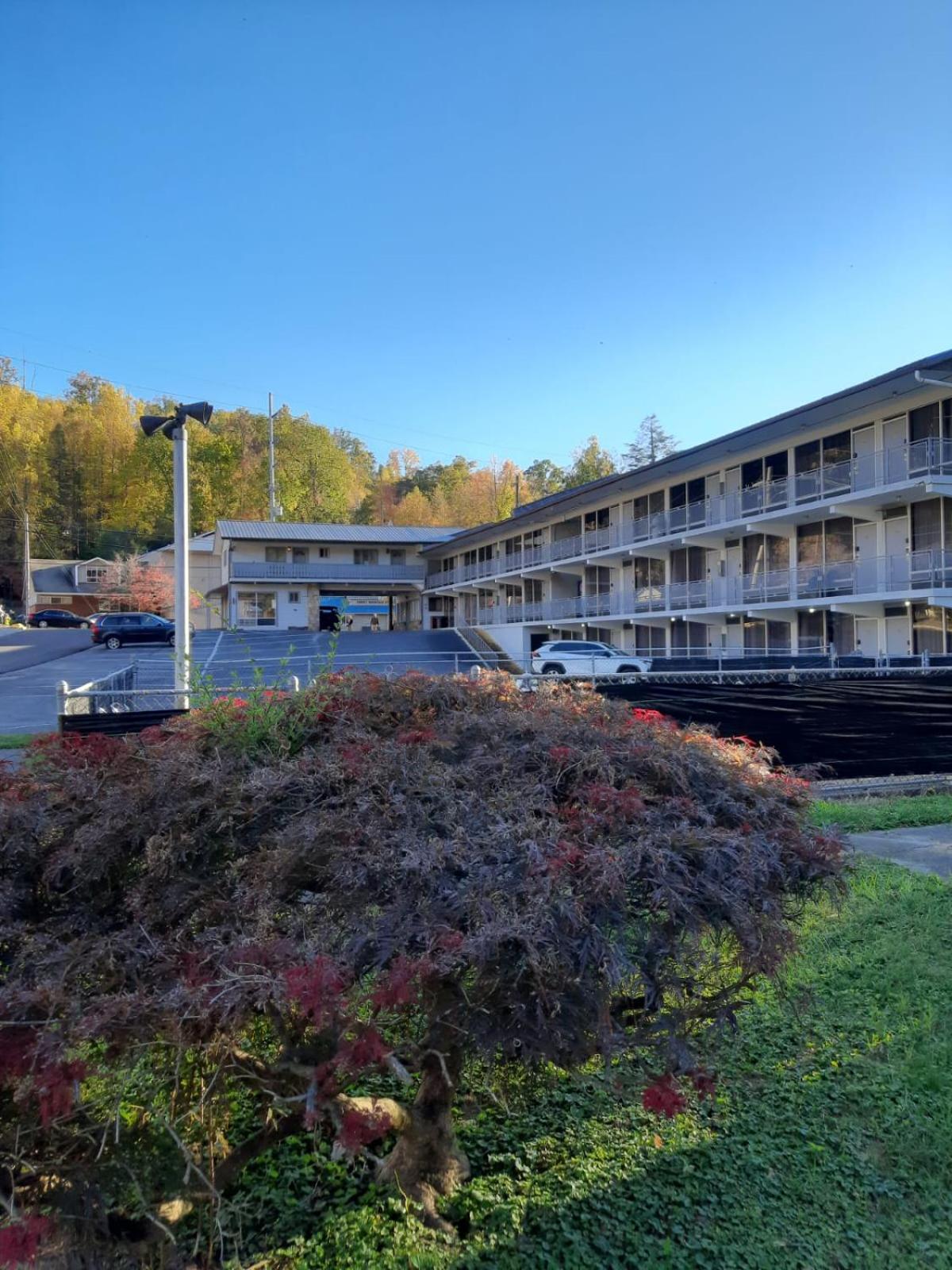 Timber Ridge Lodge ガトリンバーグ エクステリア 写真