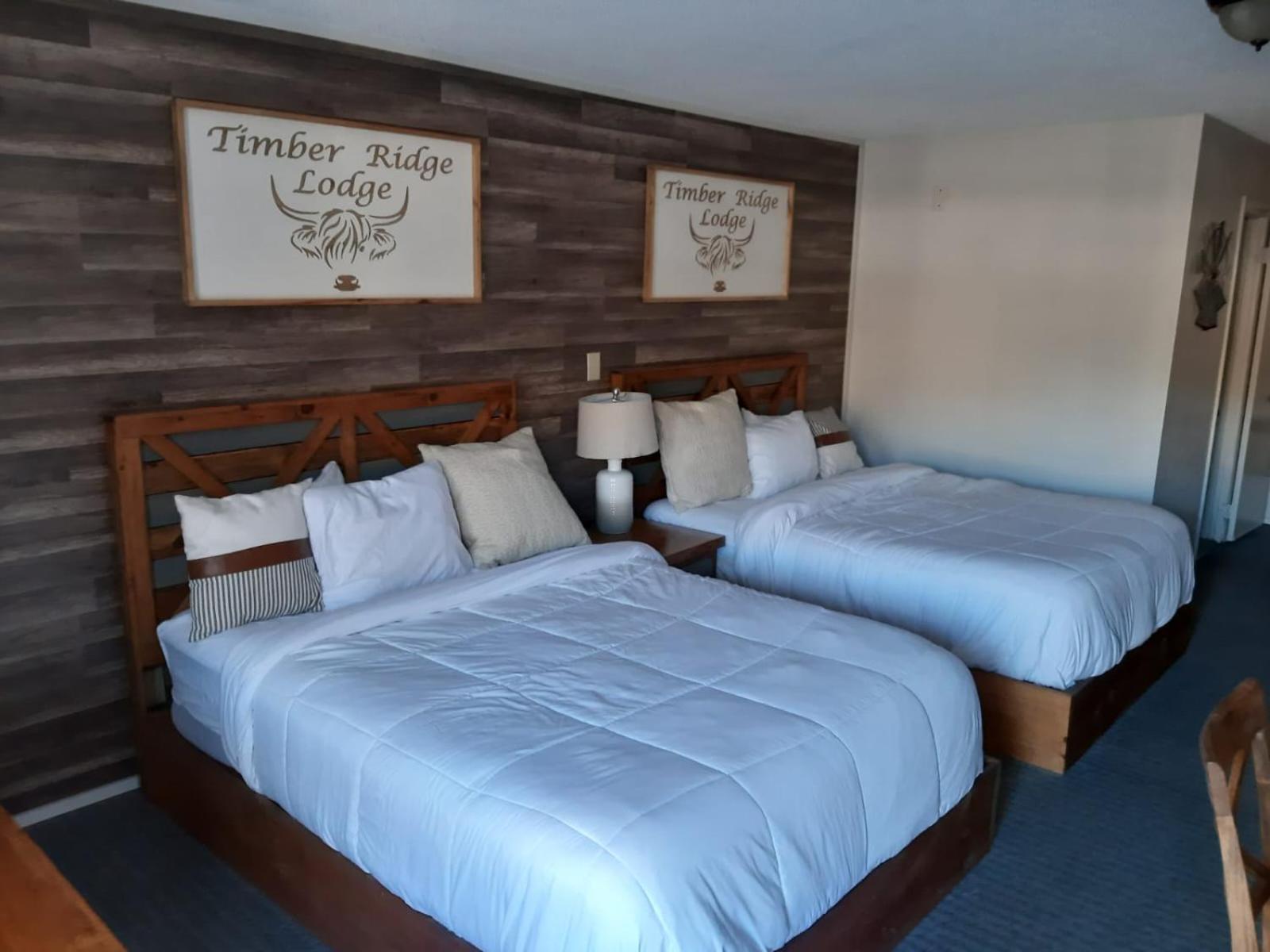 Timber Ridge Lodge ガトリンバーグ エクステリア 写真