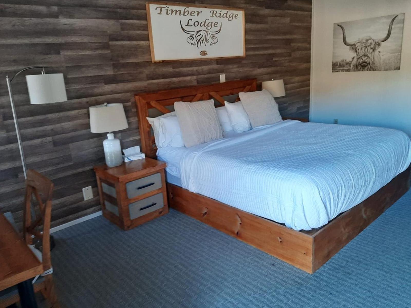 Timber Ridge Lodge ガトリンバーグ エクステリア 写真