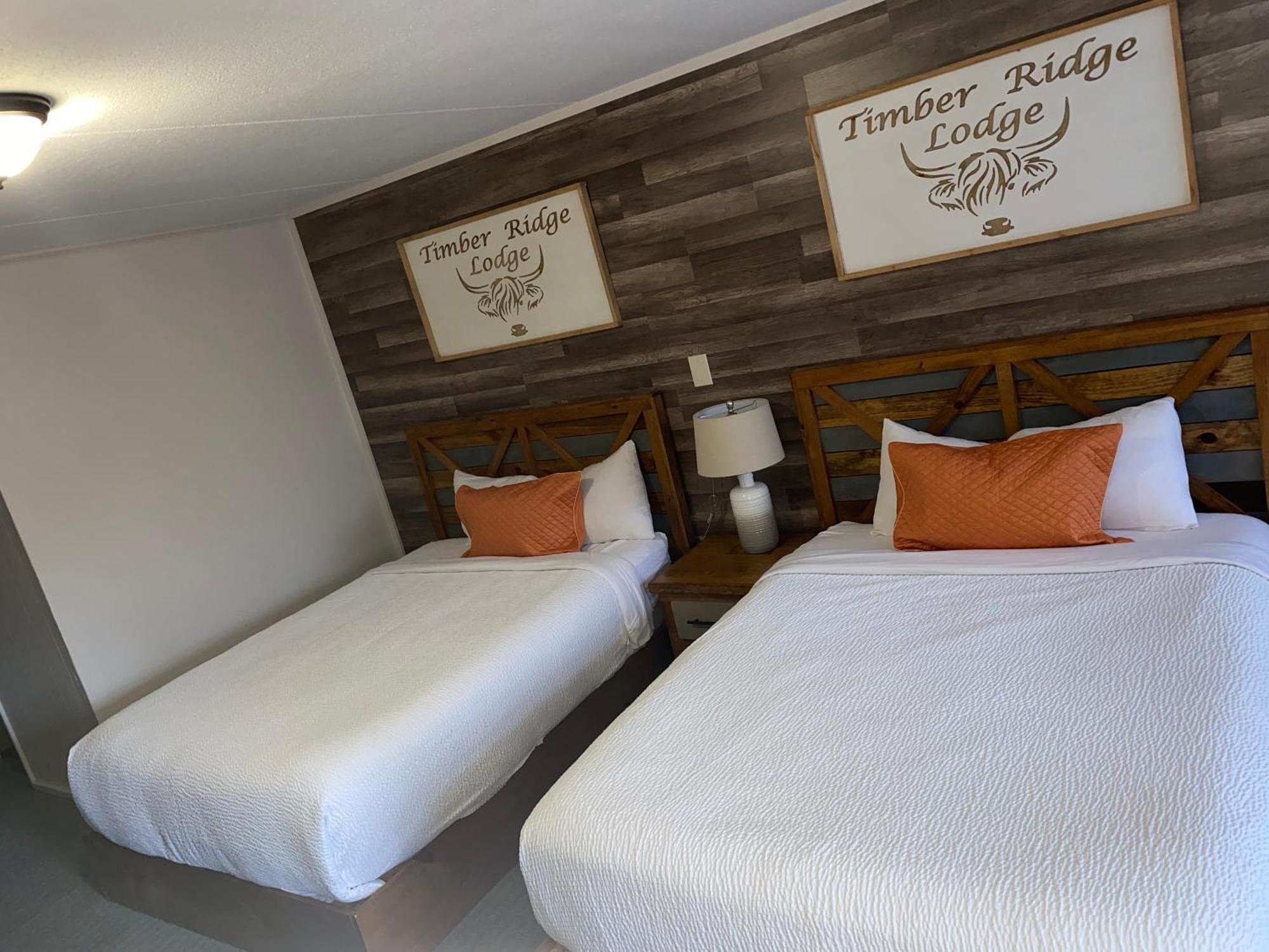 Timber Ridge Lodge ガトリンバーグ エクステリア 写真