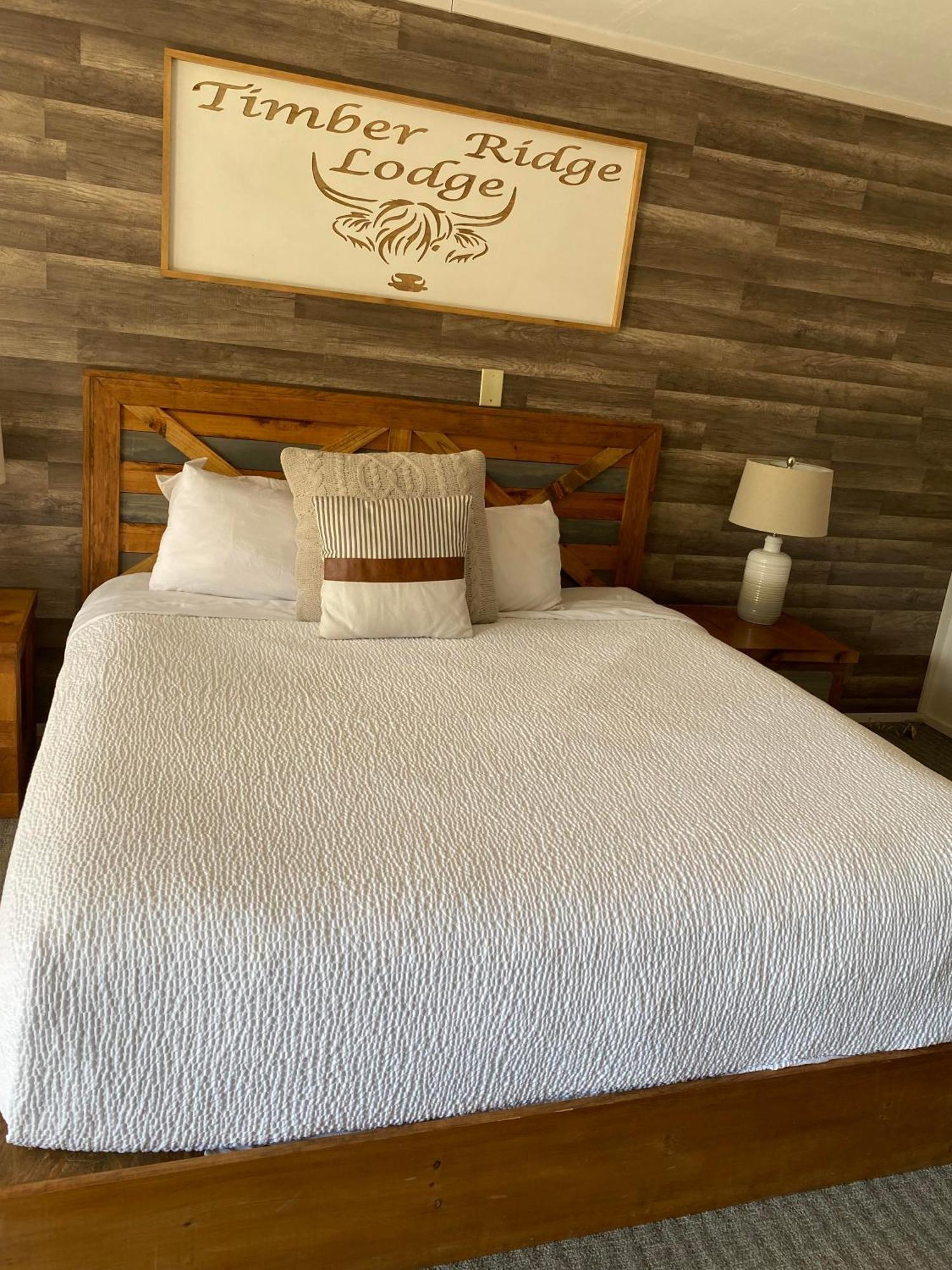 Timber Ridge Lodge ガトリンバーグ 部屋 写真